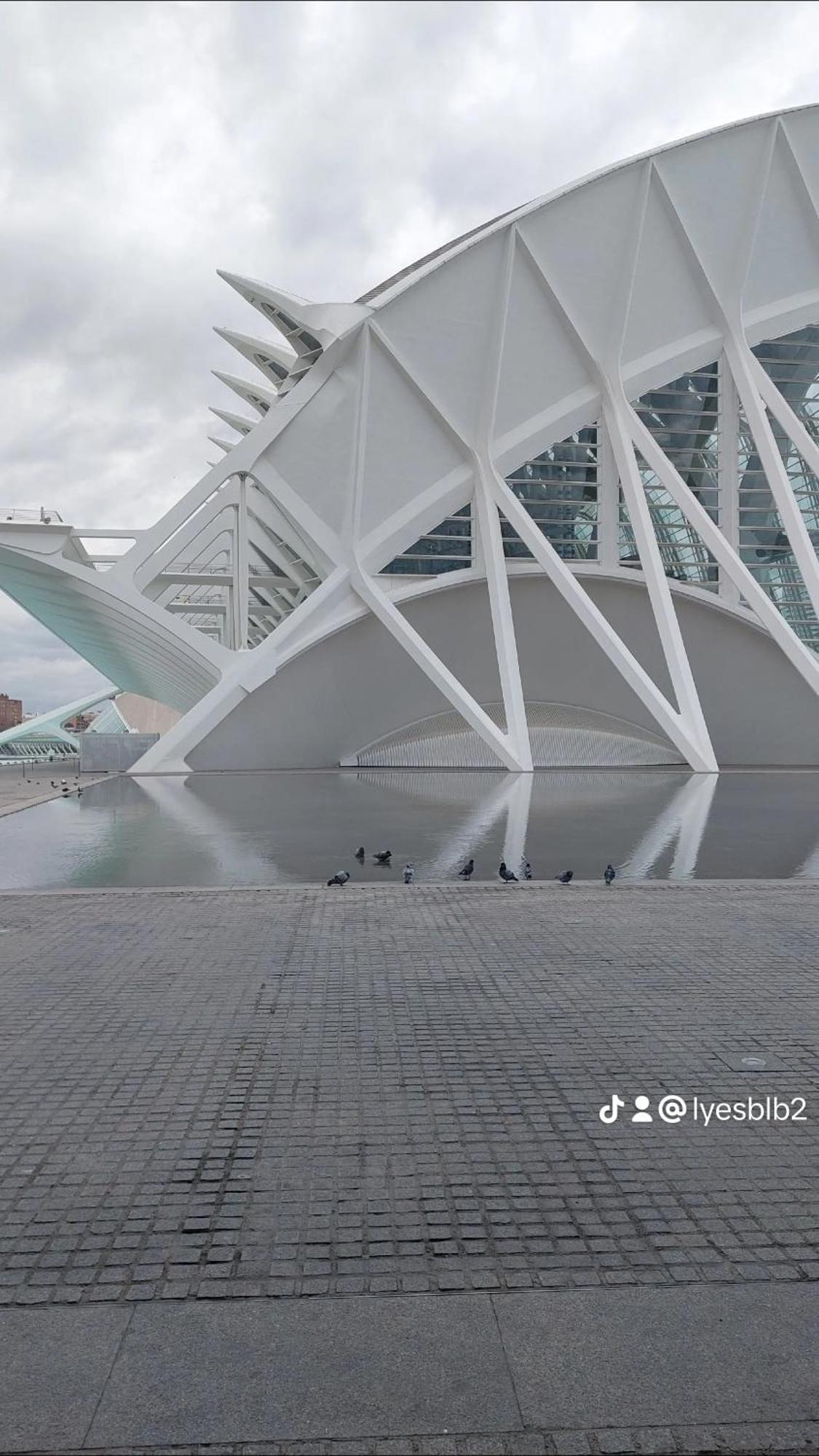 Lyesblb Aparthotel Valencia Bagian luar foto