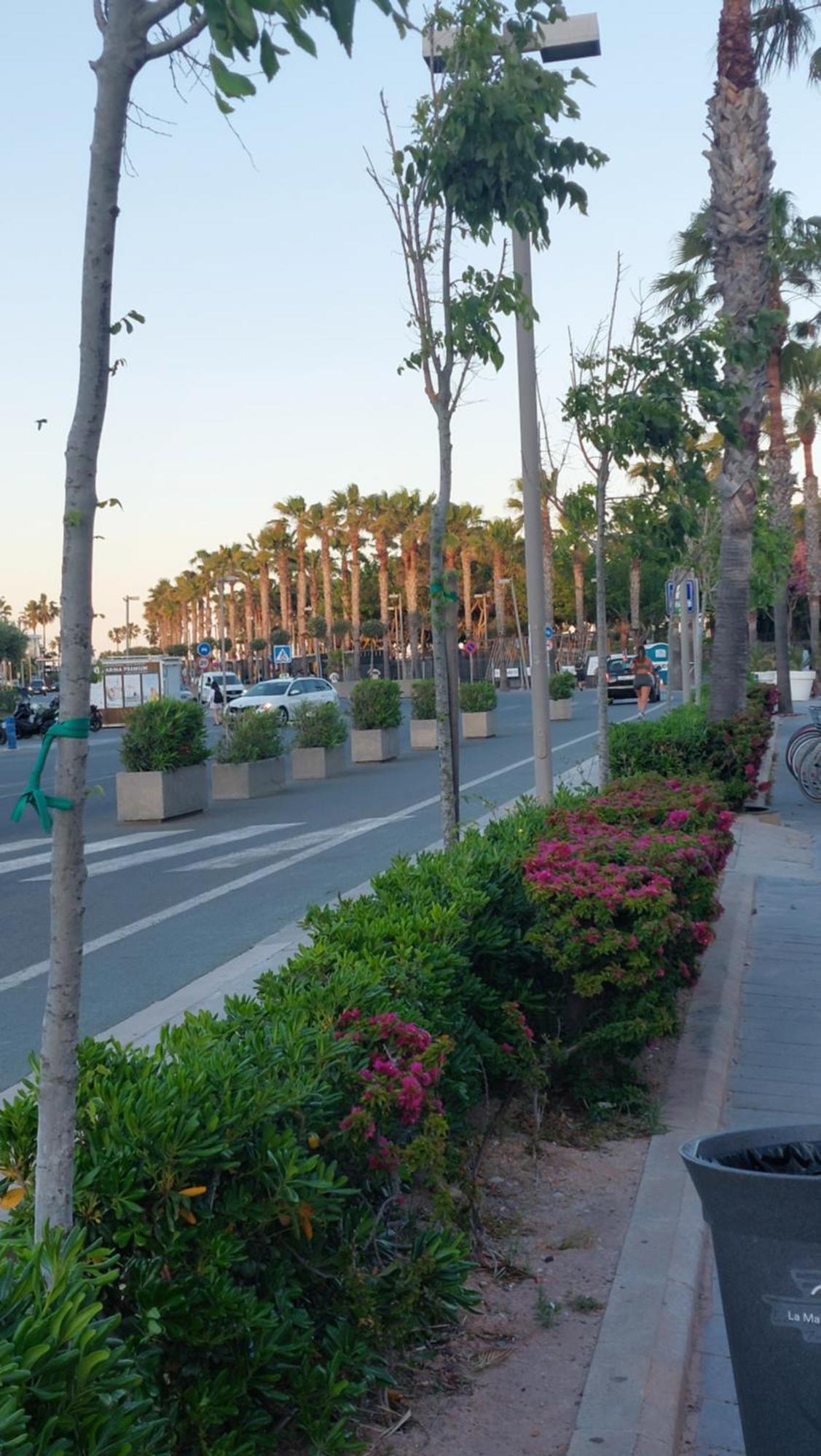 Lyesblb Aparthotel Valencia Bagian luar foto