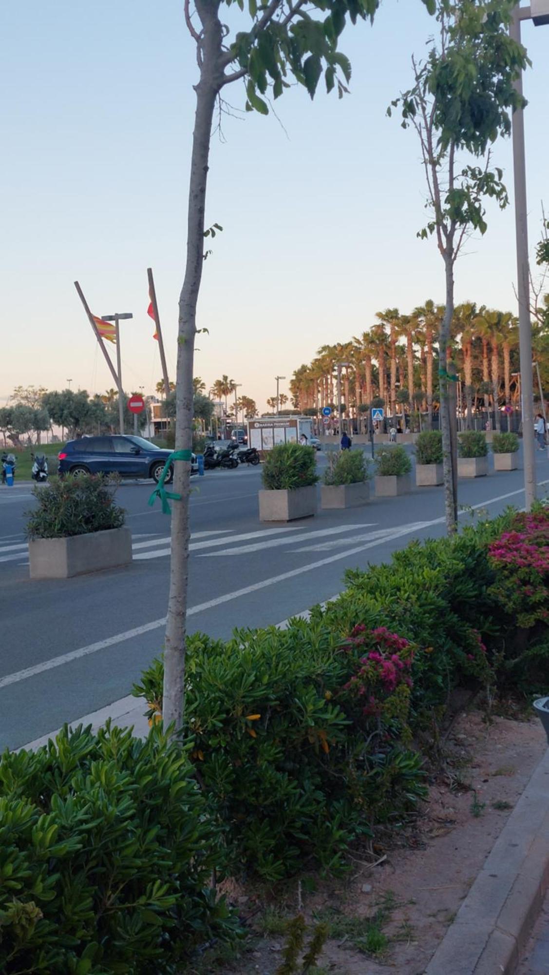Lyesblb Aparthotel Valencia Bagian luar foto