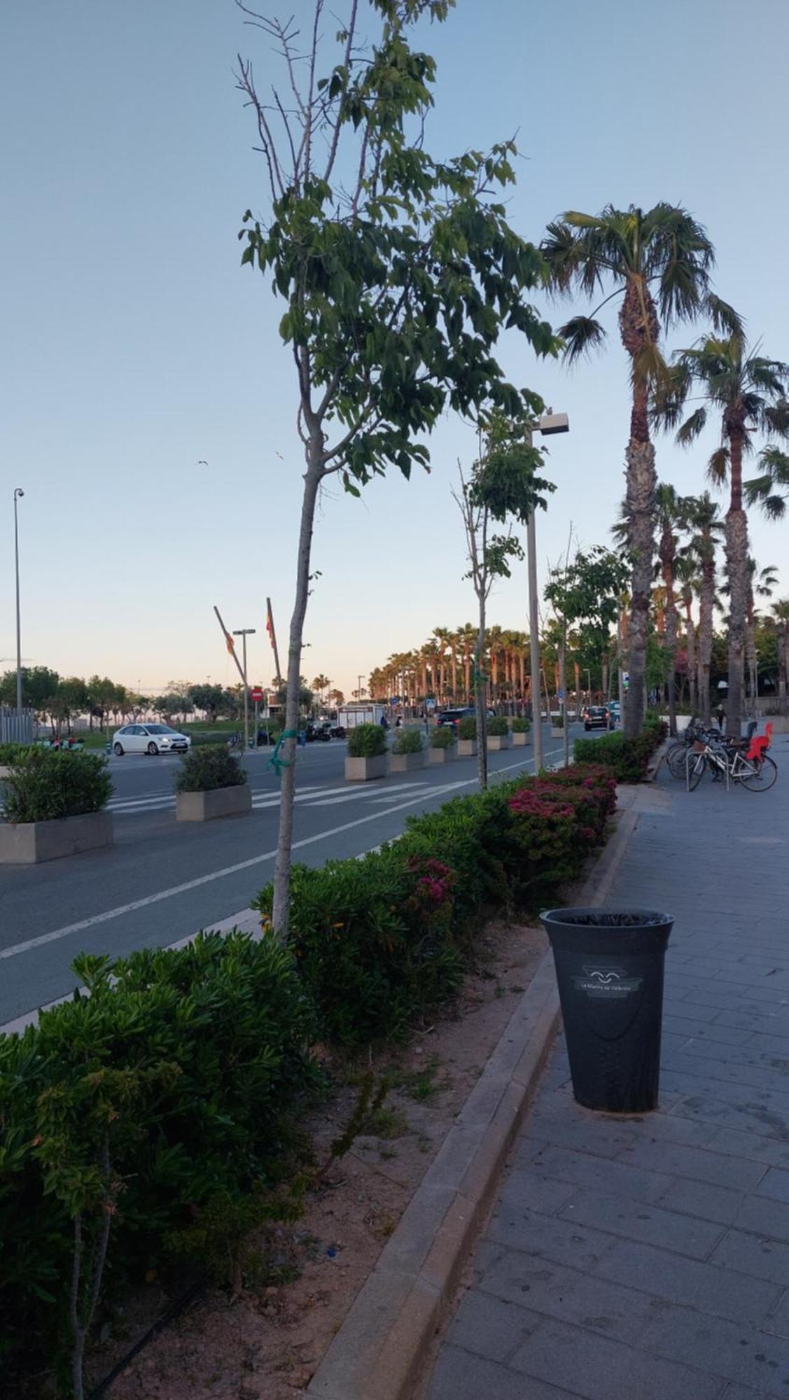 Lyesblb Aparthotel Valencia Bagian luar foto